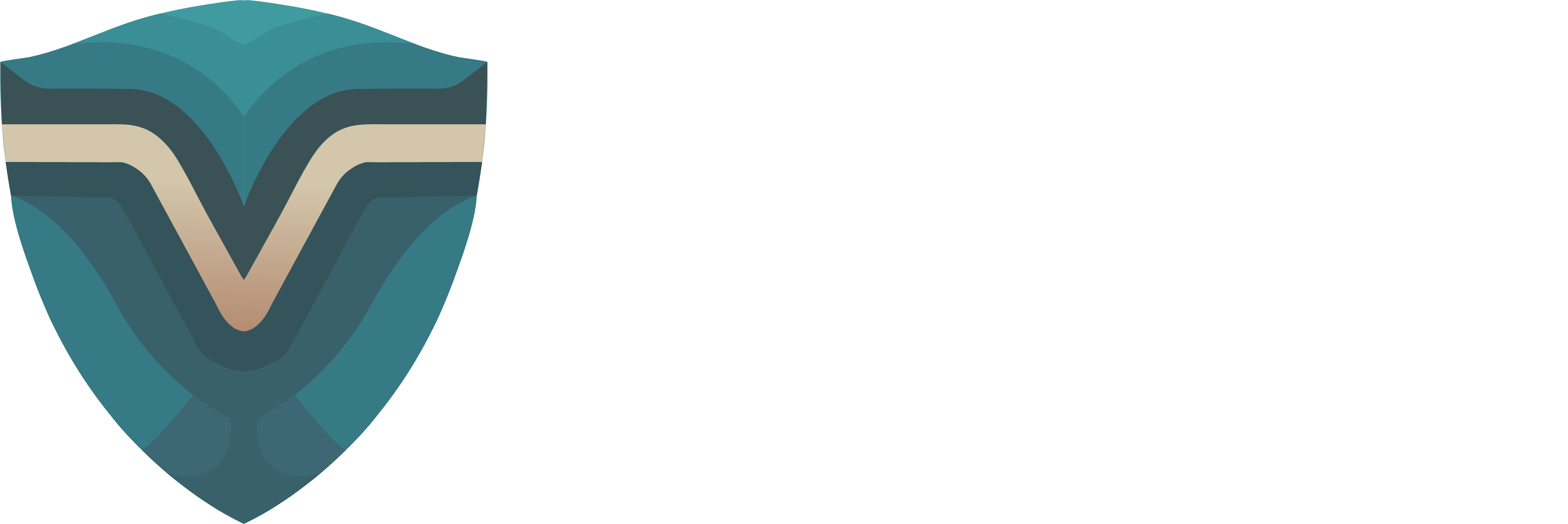 Veraha Security